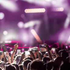 Media & Entertainment